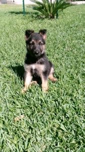 Meet your Posher, Johana